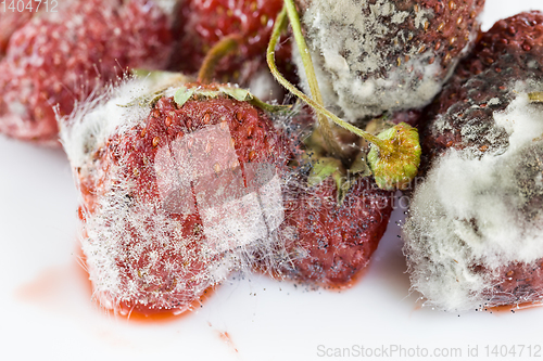 Image of berries ripe strawberries