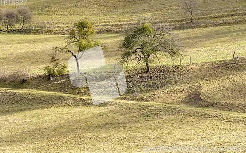 Image of rural landscape in Hohenlohe