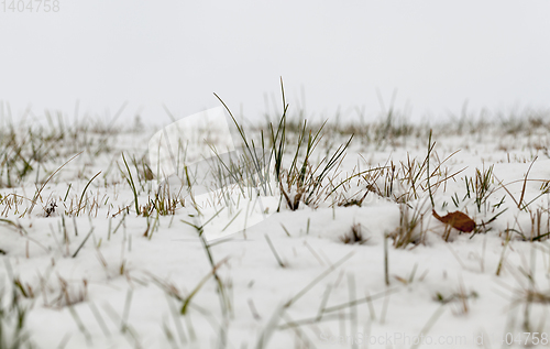 Image of Snow drifts in winter