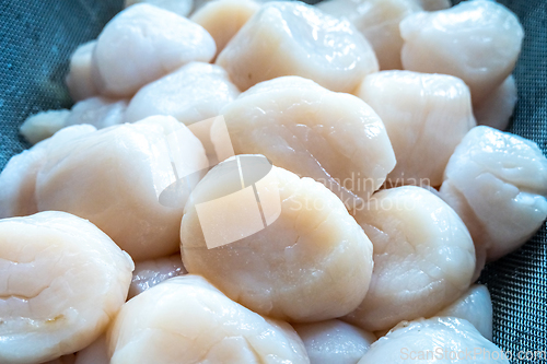 Image of raw scallops prepared for party