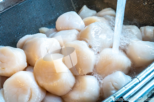 Image of raw scallops prepared for party