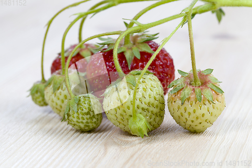 Image of green and red strawberries