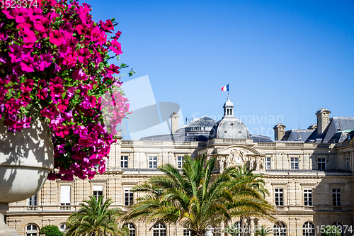 Image of Luxembourg Palace and Gardens, Paris