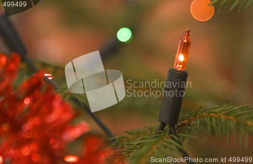 Image of Christmas light