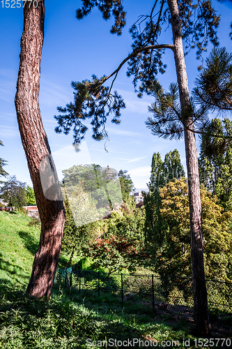 Image of Buttes-Chaumont Park, Paris