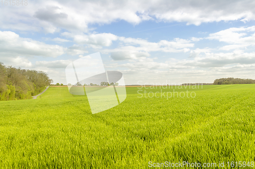 Image of rural landscape at spring time