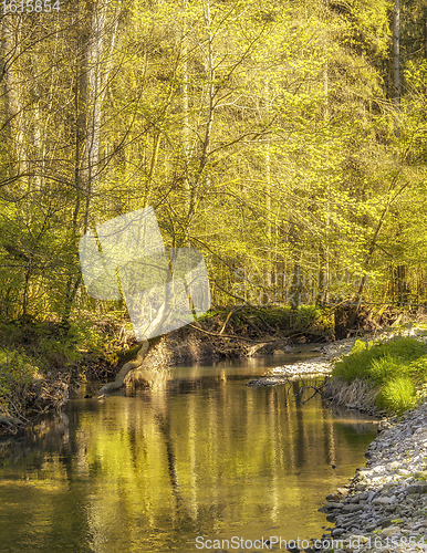 Image of waterside scenery at spring time