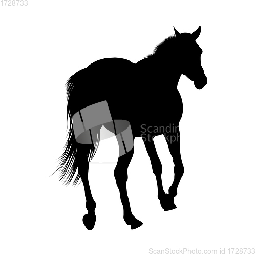 Image of Horse Silhouette