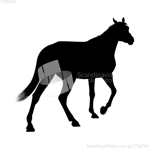 Image of Horse Silhouette