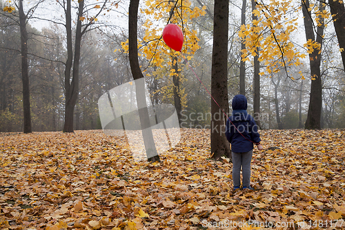 Image of boy in a blue jacket