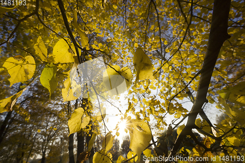 Image of Sunny day in the autumn