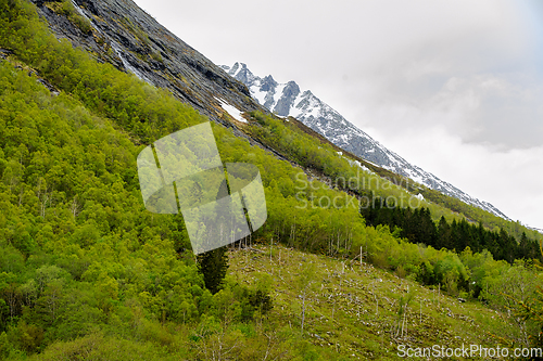 Image of snow-covered mountain peak in spring with newly sprung leaves