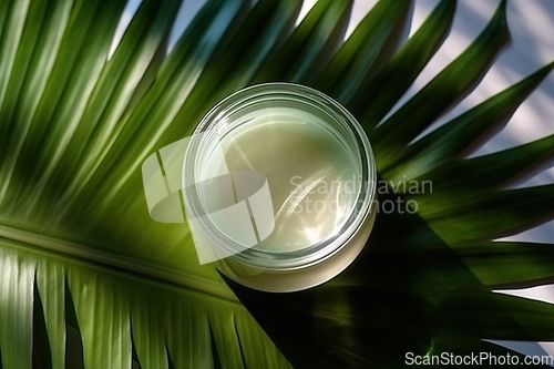 Image of Glimpsing Beauty in a Moisturizing Jar