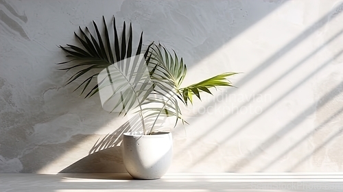 Image of Blooming Home Decor, Sunlit Plant Life