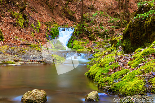 Image of beautiful mountain stream in Apuseni mountains