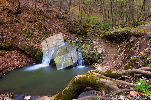 Image of waterfall in Borzesti gorges