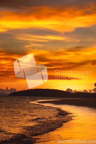 Image of Tropcal beach sunset