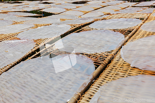 Image of Making of rice noodles. Vietnam