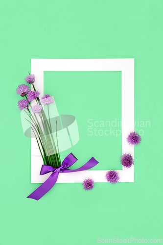 Image of Edible Chives Herb Flower Background Border