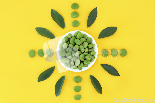 Image of Broad Bean Healthy Fresh Vegetable Design