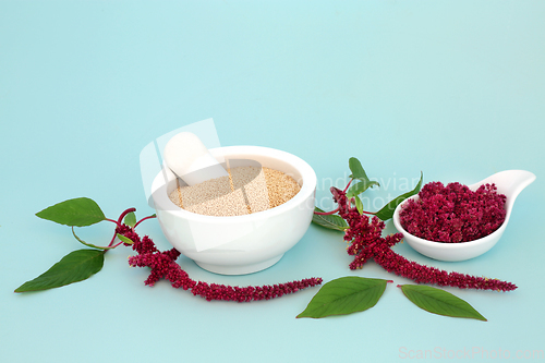 Image of Amaranthus Herbal Plant Medicine Health Food