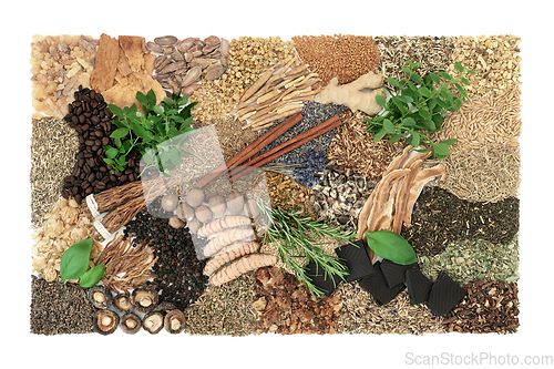 Image of Nervine Ingredients for Natural Herbal  Plant Medicine  