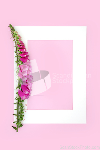 Image of Foxglove Flower Natural Herbal Plant Medicine Background Frame