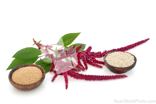 Image of Amaranthus Plant Dried Seed and Puffed Grain