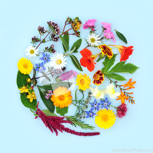 Image of Summer Flowers and Herbs for Herbal Medicine Treatments