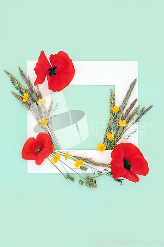 Image of English Summer Wildflower Background Frame