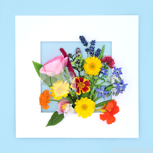 Image of Summer Flowers Wildflowers and Herbs Background Frame