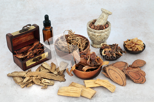 Image of Ancient Chinese Medication with Plant Based Herbs and Spice