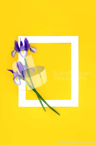 Image of Purple Iris Flower Abstract Background Frame 