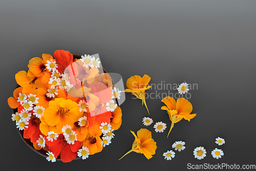 Image of Feverfew and Nasturtium Flowers for Cold and Flu Remedy