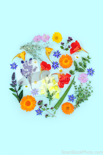 Image of Herbs and Flowers for Alternative Plant Based Skincare Treatment