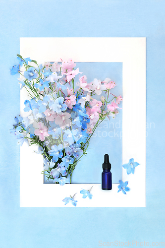 Image of Delphinium Flower Homeopathic Herbal Medicine Background