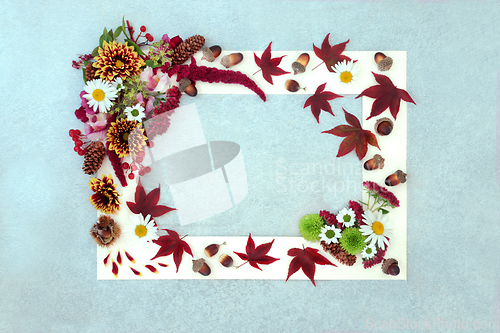 Image of Abstract Autumn and Thanksgiving Background Frame