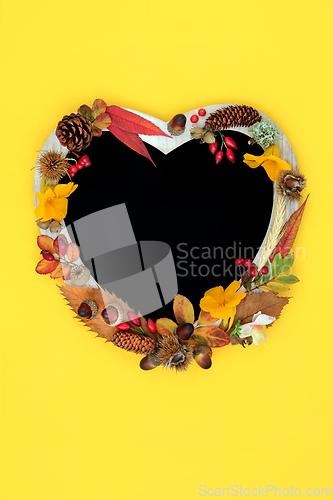Image of Colourful Heart Shaped Autumn Fall Floral Frame