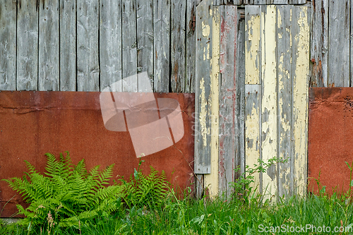 Image of old wooden wall with rusty metal plate and green ferns