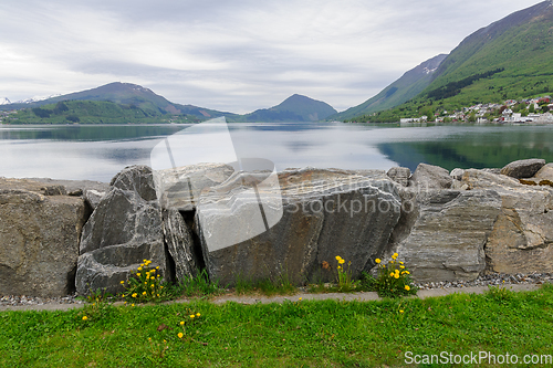 Image of stone wall with dandelions towards the fjord