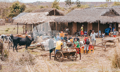 Image of Malagasy peoples on farm in rural Madagascar