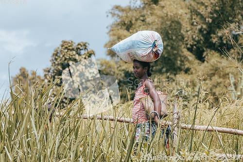 Image of Malagasy woman carry heavy loads on head. Madagascar