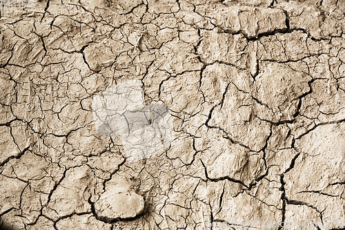 Image of dry soil texture