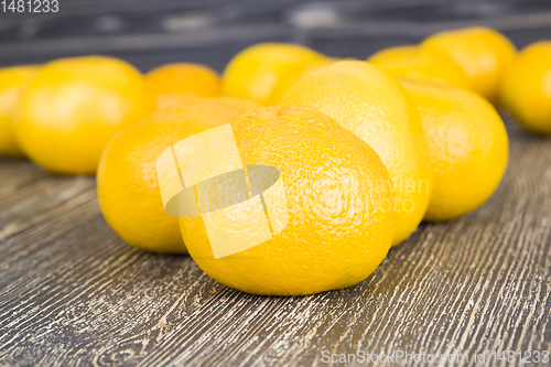 Image of whole large orange tangerines