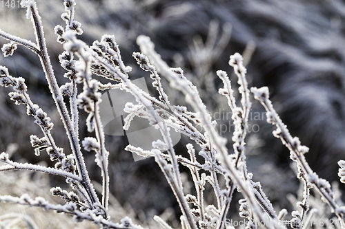 Image of snow and ice covered grass