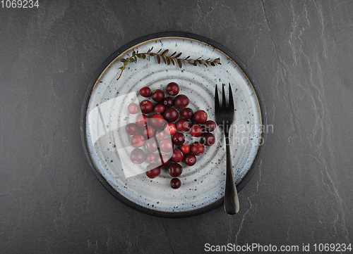 Image of Cranberries with plate on shale