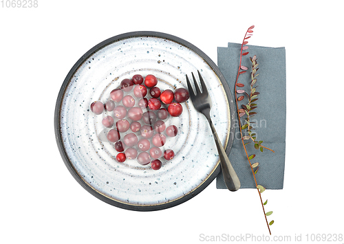 Image of Cranberries with twig and plate on white