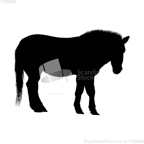 Image of Horse Silhouette