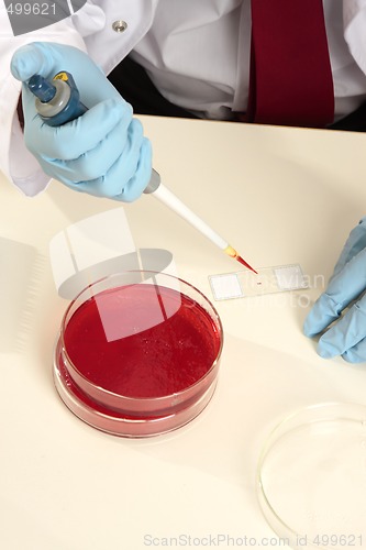 Image of Scientist preparing a slide