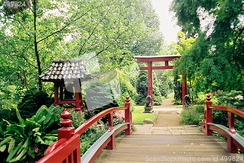 Image of Japanese garden